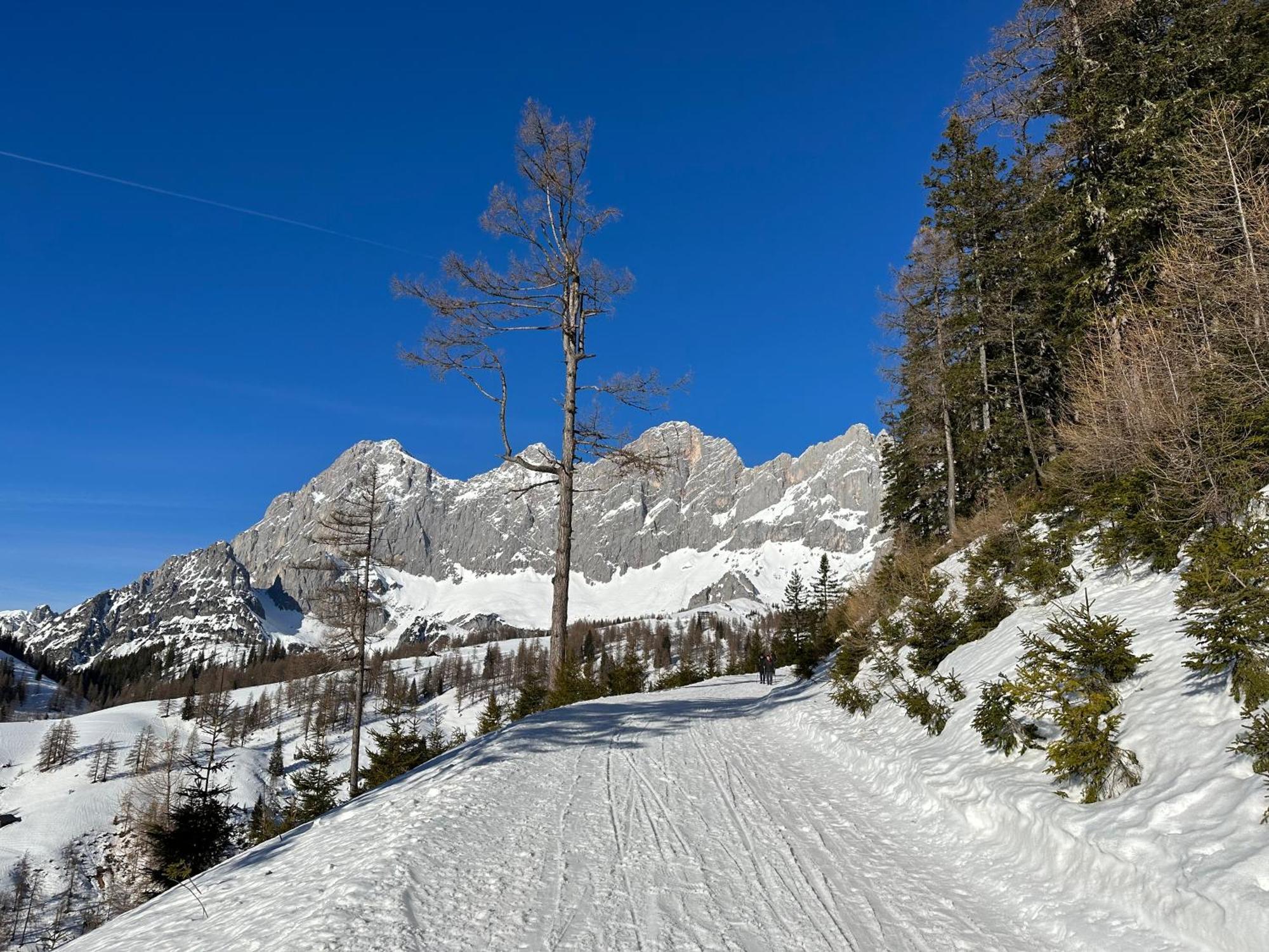 Appartements by Chalet Reiteralm Schladming Exterior foto